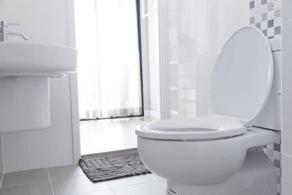 Cost of Toilet Relocation in Redmond