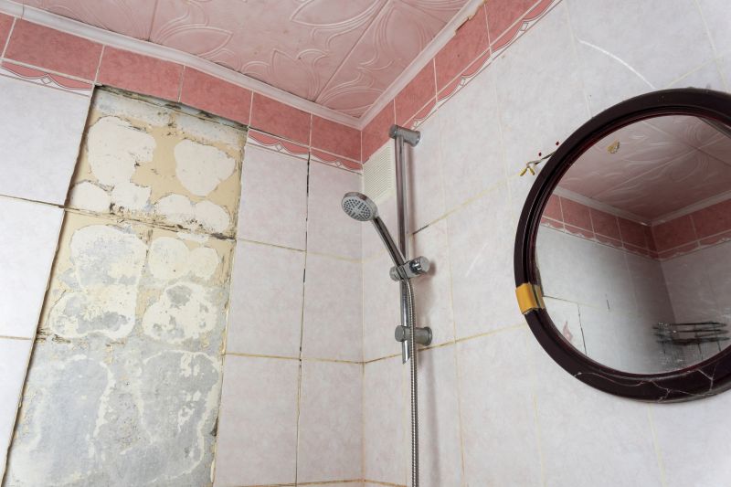 Top Shower Remodeling Companies in Renton, WA