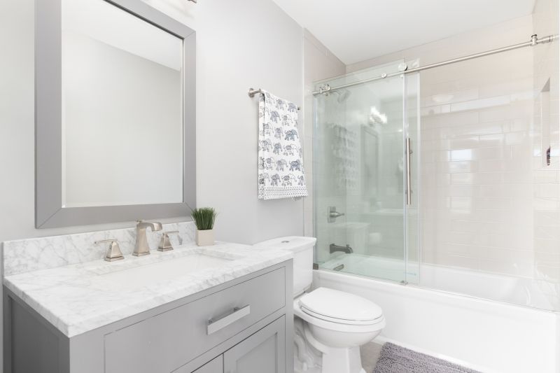 Top Tub To Shower Conversion Companies in Seattle, WA